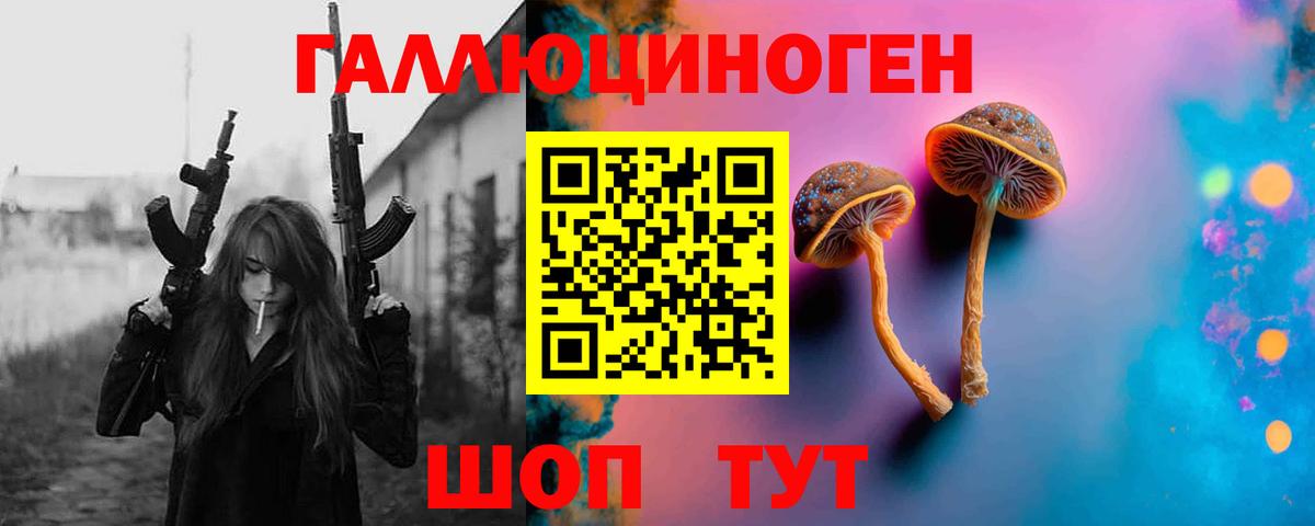 Галлюциногенные грибы Psilocybe Арсеньев